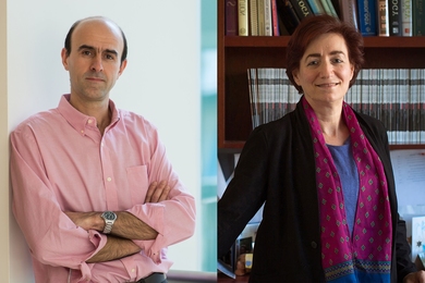 Mehrdad Jazayeri, an associate professor in the Department of Brain and Cognitive Sciences (left), and Hazel Sive, a professor in the Department of Biology, are the 2019 recipients of the School of Science Teaching Prizes in Graduate and Undergraduate Education, respectively.