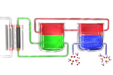 In a new method to produce hydrogen peroxide portably, an electrolyzer (left) splits water into hydrogen and oxygen. The hydrogen atoms initially form in an electrolyte material (green), which transfers them to a mediator material (red), which then carries them to a separate unit where the mediator comes in contact with oxygen-rich water (blue), where the hydrogen combines with it to form hydrogen...