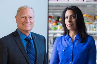 MIT professors Richard Young (left) and Sangeeta Bhatia