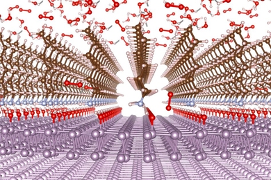This diagram shows an edge-on view of the molecular structure of the new coating material. The thin layered material being coated is shown in violet at bottom, and the ambient air is shown as the scattered molecules of oxygen and water at the top. The dark layer in between is the protective material, which allows some oxygen (red)  through, forming an oxide layer below that provides added protecti...