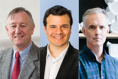 American Physical Society honorees (left to right): Richard Milner and Pablo Jarillo-Herrero, professors of physics, and James Collins, professor of biological engineering.