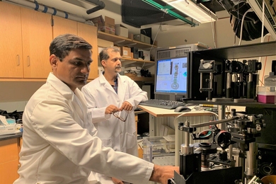 Vijay Raj Singh, SMART research scientist, and Zahid Yaqoob, MIT LBRC principal investigator, study tumor cells using the new confocal reflectance interferometric microscope.