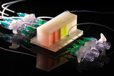 ArtGut has three chambers: At the top is a gas cap through which nitrogen diffuses via a rubber membrane to the sample chamber below, generating a steep oxygen gradient that mimics conditions in the human gut, and the chamber at bottom emulates the gut's mucus lining.