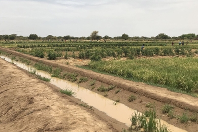 Access to irrigation is crucial for food security, especially in arid climates like sub-Saharan Africa. Two MIT research teams working on irrigation in this region were brought together by J-WAFS to share their knowledge. 