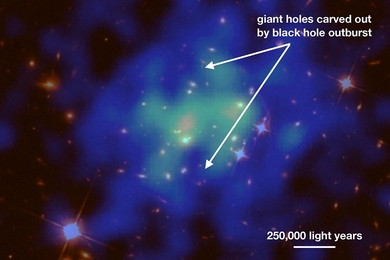 Giant cavities in the X-ray emitting intracluster medium (shown in blue, as observed by NASA's Chandra X-ray Observatory) have been carved out by the black hole outburst. The X-ray data are overlaid on top of optical data from the Hubble Space Telescope (in red/orange), where the central galaxy that is likely hosting the culprit supermassive black hole is also visible.