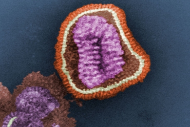 This digitally-colorized transmission electron microscopic image depicts the ultrastructural details of an influenza virus particle.