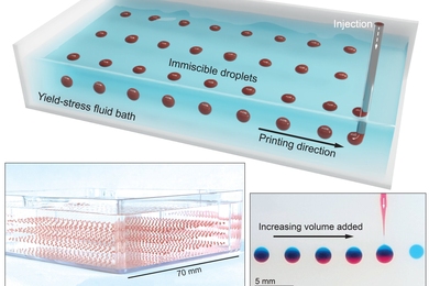 A new embedded droplet printing method suspends 3D arrays of droplets in a uniquely isolated state that allows for precise processing and experimentation.