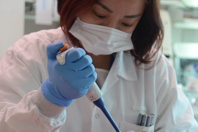 A SMART Antimicrobial Resistance Interdisciplinary Research Group scientist optimizes a prototype assay.