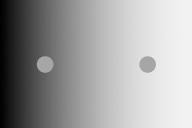 An MIT-led research team has discovered evidence that a classic visual illusion called simultaneous brightness contrast, such as the one seen here, relies on brightness estimation that takes place in the retina, not the brain’s visual cortex. In this image, the two small discs appear to have different brightness despite having identical luminance.