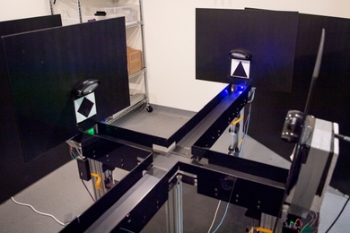 animals probabilistic neuro