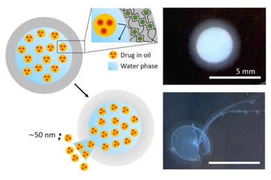 schematics and photographs of nanoscale droplets loaded with an active ingredient.