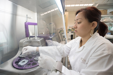 SMART AMR researcher Hooi Linn Loo prepares immune cells.