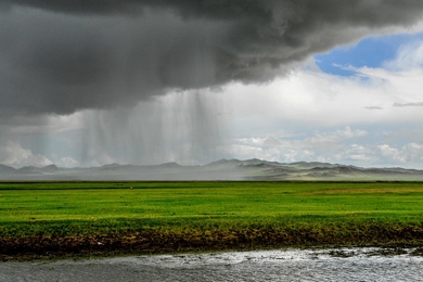 Photo of heavy rain over a grassland steppe