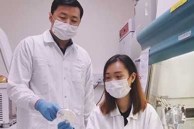 Photo of two researchers wearing masks and examining a Petri dish