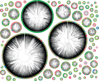 A collage of phylogenetic trees ringed with colorful circles. 