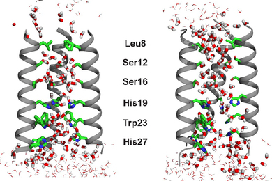 An illustration depicts two ion channels, each composed of helical lines on the outside, with water molecules and virus particles on the inside