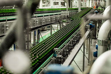 Photo of hundreds of green beer bottles lined up in a processing plant