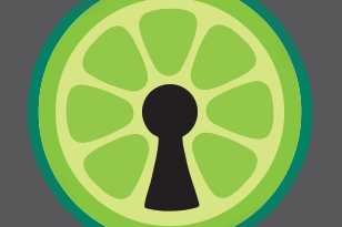 A cartoon-like illustration of a lime slice with a keyhole in the middle