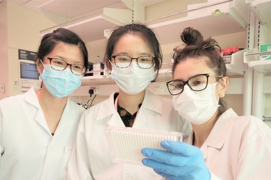 Photo of three women in lab coats, safety glasses, and facemasks inspecting a sample set