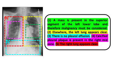 Image of a chest radiograph with color-coded text annotations
