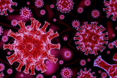 Image of a photomicrograph of SARS-CoV-2 viruses, tinted red and pink