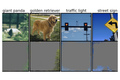 Four photos in the top row show a giant panda, a golden retriever, a traffic light, and a street sign. The bottom row shows only the edges of the same images.