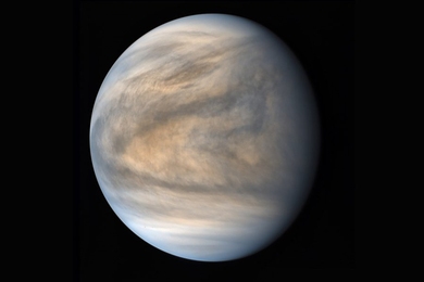 A photo of Venus in false color, painting it a swirling cool brown, with light blue hues at the north and south poles.