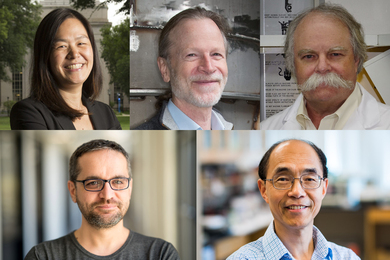 headshots of AAAS Fellows