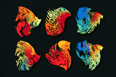 Six brightly colored illustrations of fitness landscapes