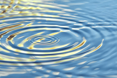 Photo of circular ripples on water