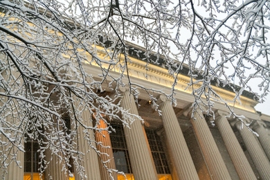 Closeup of snowy and wintery scene of icy branches with the columns of MIT in the background.