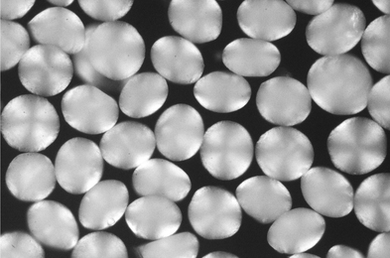 Magnified photo of white spheres on a black background