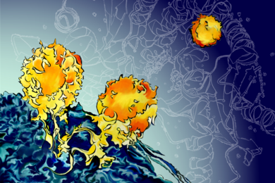 Illustration of T cells, depicted as yellow and orange globs, attaching to the wavy blue surface of a cancer cell against a faint diagram of the STING-gCAMP complex