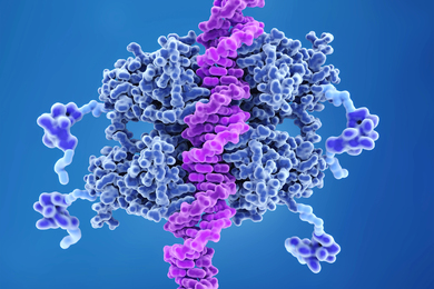 Microscopic view of pink DNA strand is in the center while blue blobs bind to its left and right sides.
