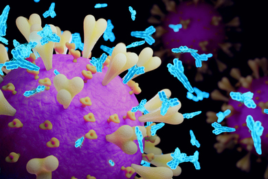 Rendering shows a purple spherical coronavirus on the left side. Light blue antibodies, shaped like a Y, surround the coronavirus.