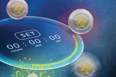 Illustration of a stopwatch surrounded by clear, spherical hydrogel particles in various states of releasing tiny dots