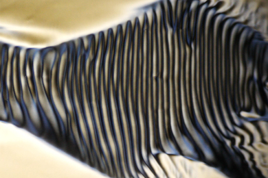 Blurry microstructures, resembling striped black pattern, assembled into large twisted structure