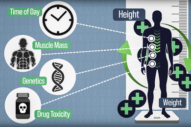 An icon of the human body has medication icons around it, and also four nodes. The nodes expand to say “Time of Day, Muscle Mass, Genetics, and Drug Toxicity,” and show icons. The words “Height and Weight” appear next to the human body.