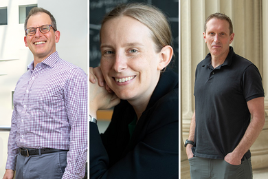 Photos of Roger Levy, Tracy Slatyer, and Martin Wainwright