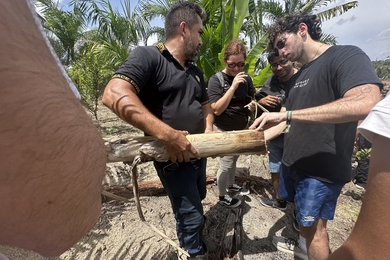 two men hold a piece of wood and two other people watch while standing outside