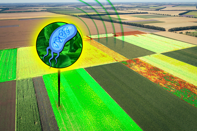 Aerial view of farmland. Inset shows a bacteria emitting a signal.