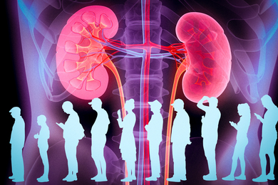 Illustration of people waiting with large kidney icon in background.