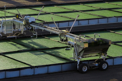 Machines and crops in a field