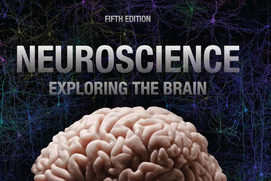 Cover of the textbook “Neuroscience: Exploring the Brain” features a brain in profile over a dark blue background covered in blue neurons. The digital edition is displayed on a laptop in foreground.