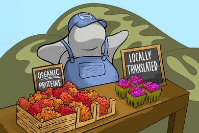Cartoon illustration of a ribosome farmer near mitochondria selling colorful "organic" and "locally translated" proteins in cartons