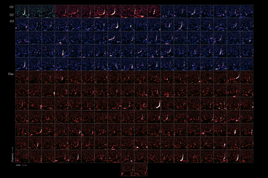 A chart shows 218 images of events detected on four observation runs, and each run is a different color. The X-axis is labeled “time” and the Y-axis is labeled “frequency.”