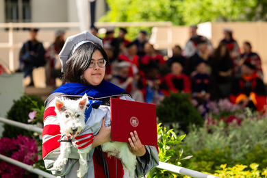 Michelle Quien holds her diploma and her dog Vinny, a white terrier. Both wear graduation regalia.