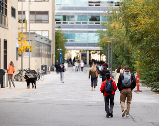 The MIT campus.