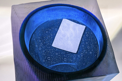 A square piece of white hydrogel floats on top of blue-tinted water.