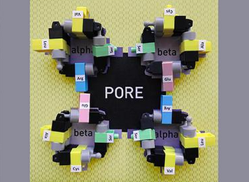 Closeup of small building blocks connected and arranged in four connected circles. The word "pore" appears in the center.